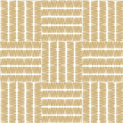 Basketweave in Golden Canyon