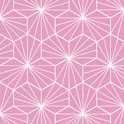 Radiate in Begonia