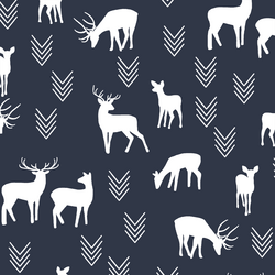 Deer Silhouette in Eclipse
