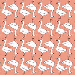 Goslings in Grapefruit