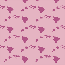 Hawaiian Islands in Carnation