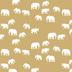 Elephant Silhouette in Golden Canyon