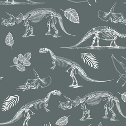 Fossils in Storm