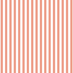 Dress Stripe in Grapefruit