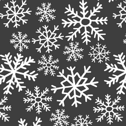 Dashing Through the Snow in Onyx