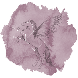 Pegasus Panel in Celestial