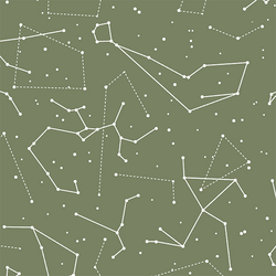 Star Charts in Olive