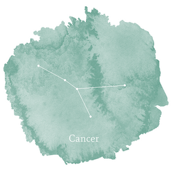 Cancer Sign Panel in Aspen