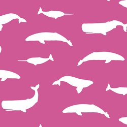 Whale Silhouette in Petunia