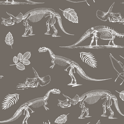 Fossils in Stone
