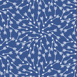 Arrows in Blue Jay