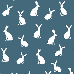 Cottontail Silhouette in Lake