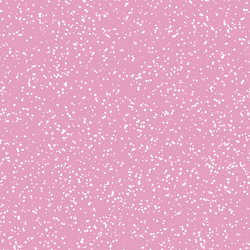 Stardust in Begonia