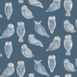 Snowy Owls in Twilight