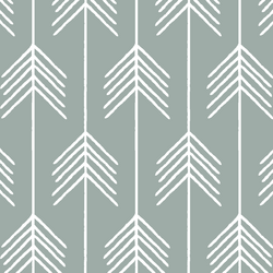 Vanes in Eucalyptus