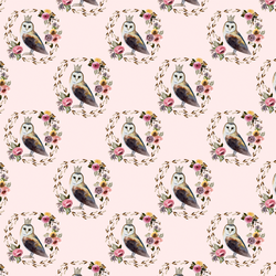 Little Cambridge Owl in Soft Blush