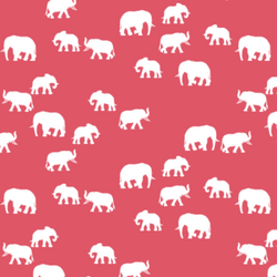 Elephant Silhouette in Passion