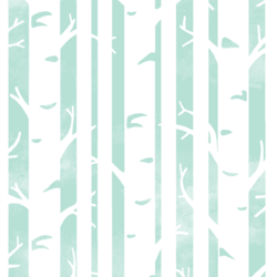 Big Birches in Aloe