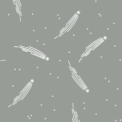 Meteor Shower in Sage