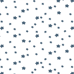 Star Light in Twilight on White