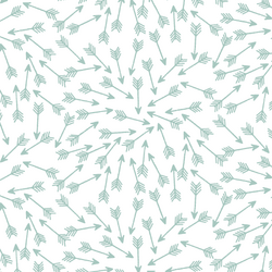 Arrows in Aspen on White
