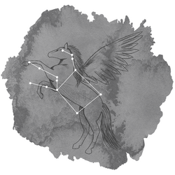 Pegasus Panel in Charcoal