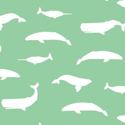 Whale Silhouette in Sprout
