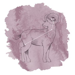 Aries Panel in Celestial