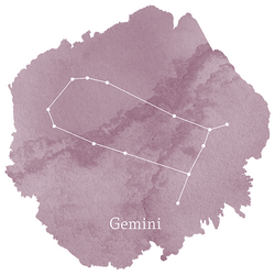 Gemini Sign Panel in Celestial