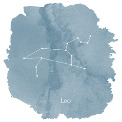 Leo Sign Panel in Marine