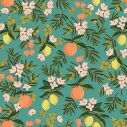 Citrus Floral in Teal
