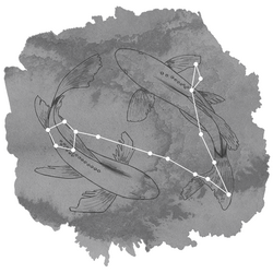 Pisces Panel in Charcoal