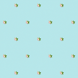 Tiny Stars in Soft Rain