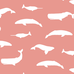 Whale Silhouette in Tulip