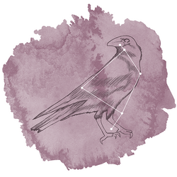 Corvus Panel in Celestial