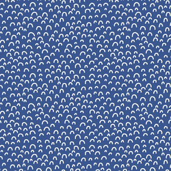 Doodle in Blue Jay