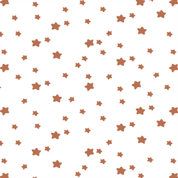 Star Light in Terracotta on White