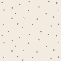 Celestial Stars in Lead Blue on Egret