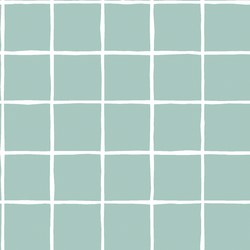 Windowpane in Aspen