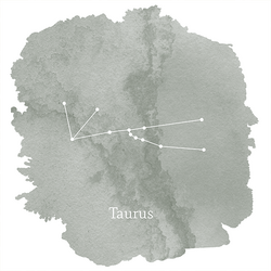 Taurus Sign Panel in Sage