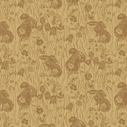 Briar Bunnies in Golden Canyon