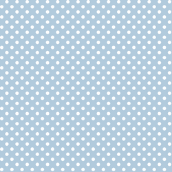Tiny Dot in Sky
