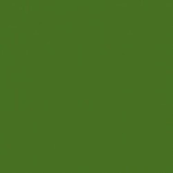 Solid in Olive