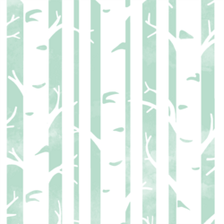 Big Birches in Mint