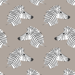 Burchell Zebra in Taupe