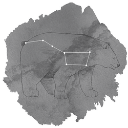 Ursa Major Panel in Charcoal