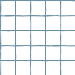 Windowpane in Marine on White