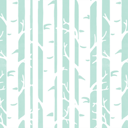 Birches in Aloe