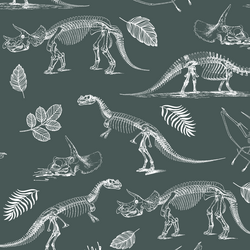 Fossils in Grey Green