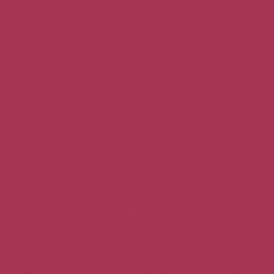 Solid in Light Wine